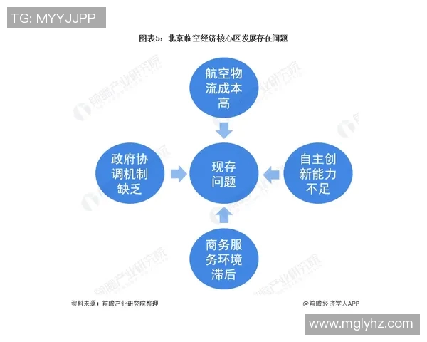 深度分析北京羽毛球队的运营策略与发展模式探讨