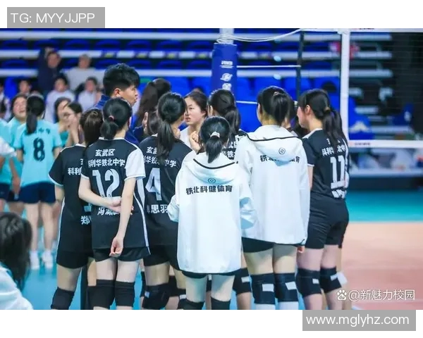 南京排球队技术创新再攀高峰引领排球发展新潮流