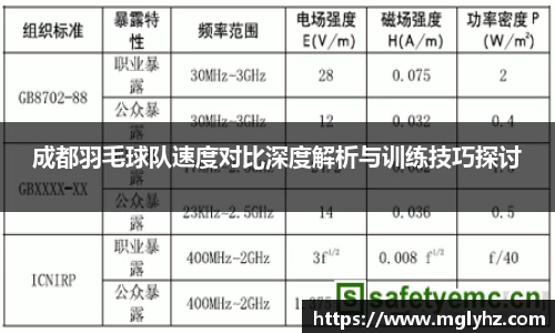 成都羽毛球队速度对比深度解析与训练技巧探讨