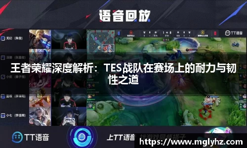 王者荣耀深度解析:TES战队在赛场上的耐力与韧性之道