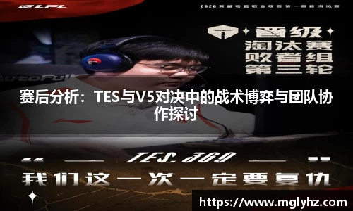 赛后分析：TES与V5对决中的战术博弈与团队协作探讨