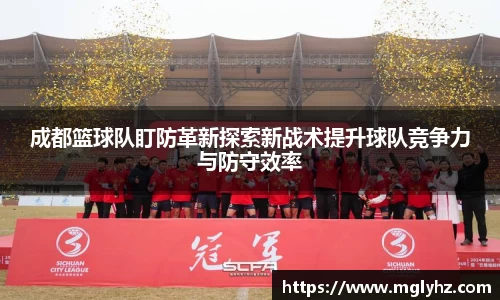 成都篮球队盯防革新探索新战术提升球队竞争力与防守效率