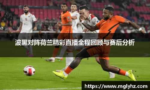 波黑对阵荷兰精彩直播全程回顾与赛后分析