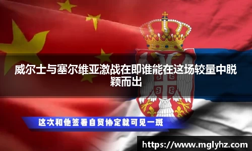 威尔士与塞尔维亚激战在即谁能在这场较量中脱颖而出